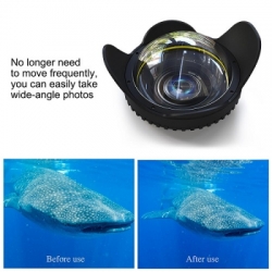 large 20210114104027 dome shade seafrogs 01 balidiveshop 3